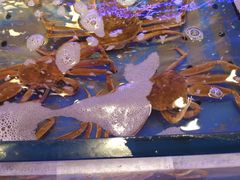 -澜悦港海鲜体验主题餐厅