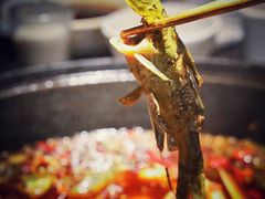 -大鱼山房鱼头火锅(老字号品质店)
