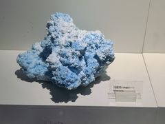 -重庆自然博物馆(新馆)