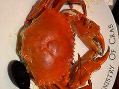 -Ministry of Crab•MOC(交子大道店)