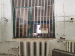 -保定市动物园