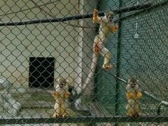 -广东茂名森林公园