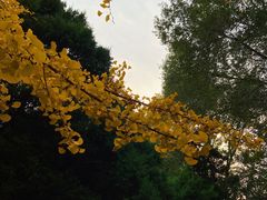 -辽宁大学(崇山校区)