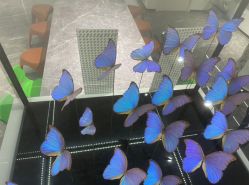 -酷嗒动物文化乐园(cutezoo西溪乐天城店)