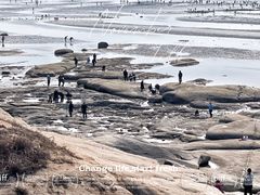 -辽宁团山国家级海洋公园