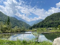 -卧龙中华大熊猫苑神树坪基地