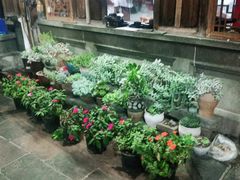 -龙姐私房菜(和顺古镇店)