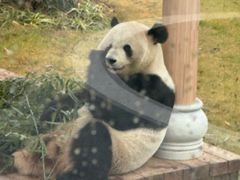 -无锡动物园·太湖欢乐园