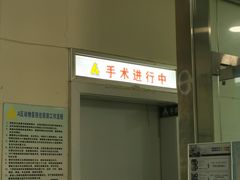 -半岛宠物医院24小时(科华中路店)