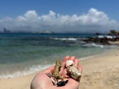-三亚蜈支洲岛旅游区