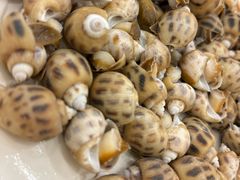 -新金盛·海鲜酒楼(盐田店)