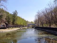 -白水寺森林公园