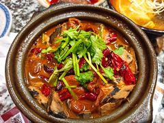 肥肠臭豆腐煲-南京大牌档(崇文门国瑞店)