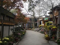 -MAMACHA妈妈茶(岳麓山店)