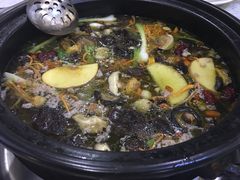 原汤锅底-蜀皇·菌汤鲜黄牛肉汤锅(宽窄巷子店)
