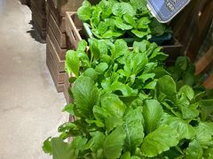 -番食园鲜食火锅(高新店)
