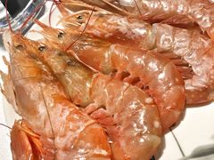 阿根廷红虾-海天盛宴新派海鲜自助餐厅(群力店)