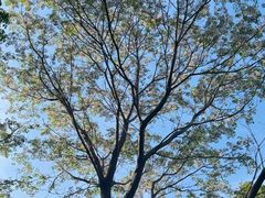-白塘生态植物园