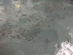-威海天沐度假区温泉