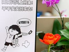 -FEI FEI FLOWER鲜花店·气球派对·宝宝宴布置(虹口德必运动Loft店)
