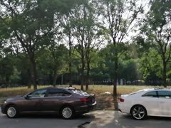 -京东养车(立汤路店)