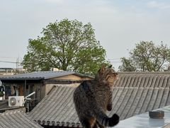 -前叁門