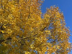 -济南国际园博园