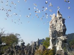-千岛湖石林