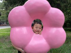 -北陵公园