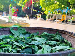 -上海青草地幼儿园