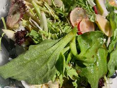 梨汁沙拉-小吊梨汤·北京菜·烤鸭(鸟巢店)