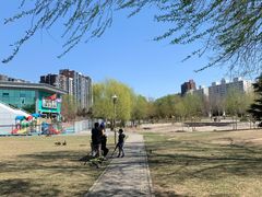 -望湖公园