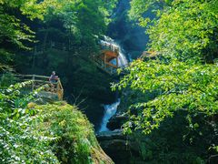 -碧峰峡风景区