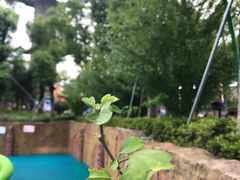 -苏州乐园森林水世界