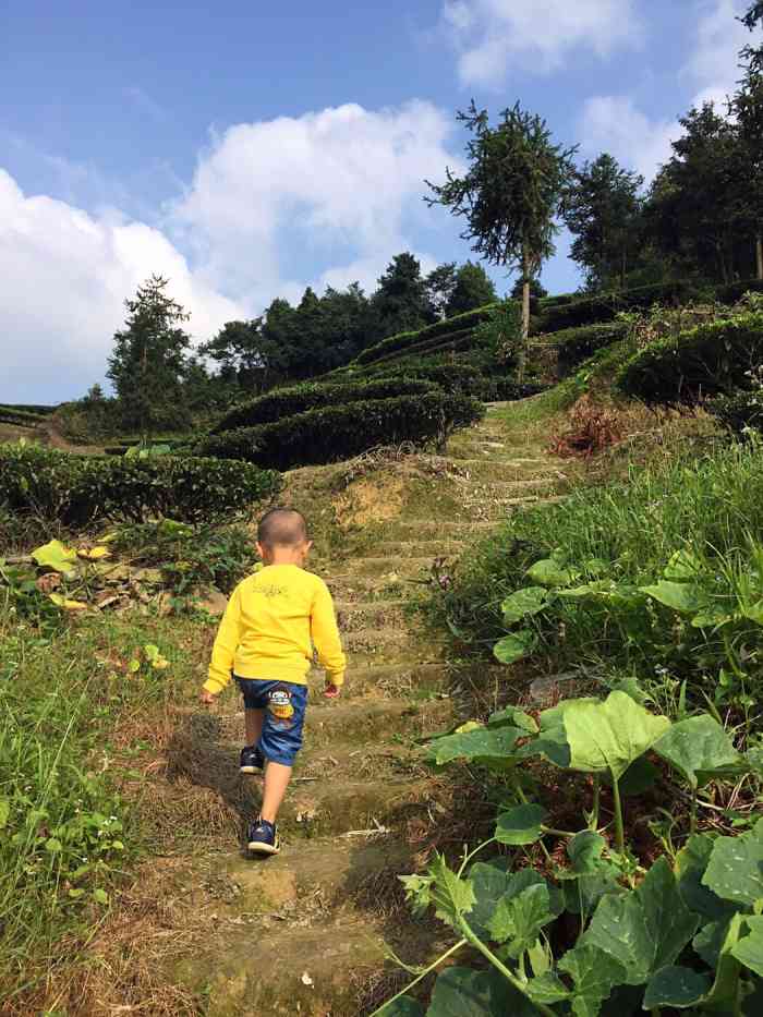 揭西大洋云雾山庄-"处在大山里边比较难找,空气比较好.