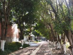 -厦门大学(思明校区)