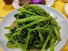 -新高记·粤菜·湛江鸡(南头古城店)