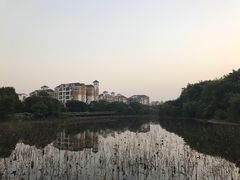 -鹤山碧桂园凤凰酒店
