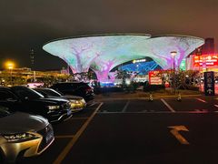 -小鳌陪你小排档·四季小龙虾·田鸡·宵夜(中央第五街店)