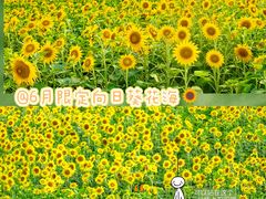 -苏州湾体育公园