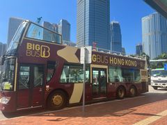 -Big Bus Tours 敞篷观光巴士