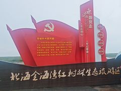 -北海金海湾红树林生态旅游区