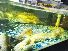 -顺德了能馆(虎门店)