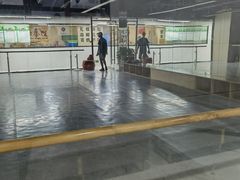 -舞蕾舞蹈(特长生校区)