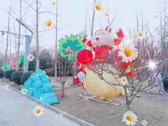 -南宫五洲植物乐园