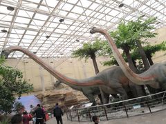 -国家自然博物馆