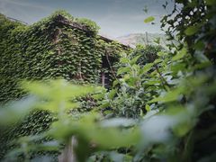 -枸杞岛