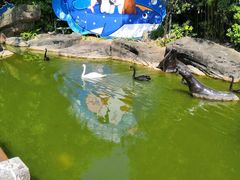-海合安武汉极地海洋公园