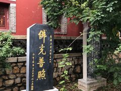 -泰山风景名胜区-普照寺