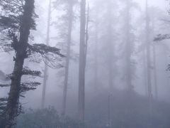 -瓦屋山景区